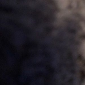 Meet your Posher, Aidan